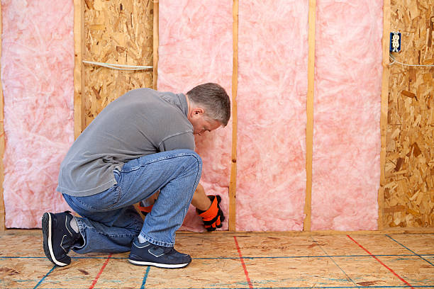 Best Insulation Maintenance and Repair in Knoxville, IA